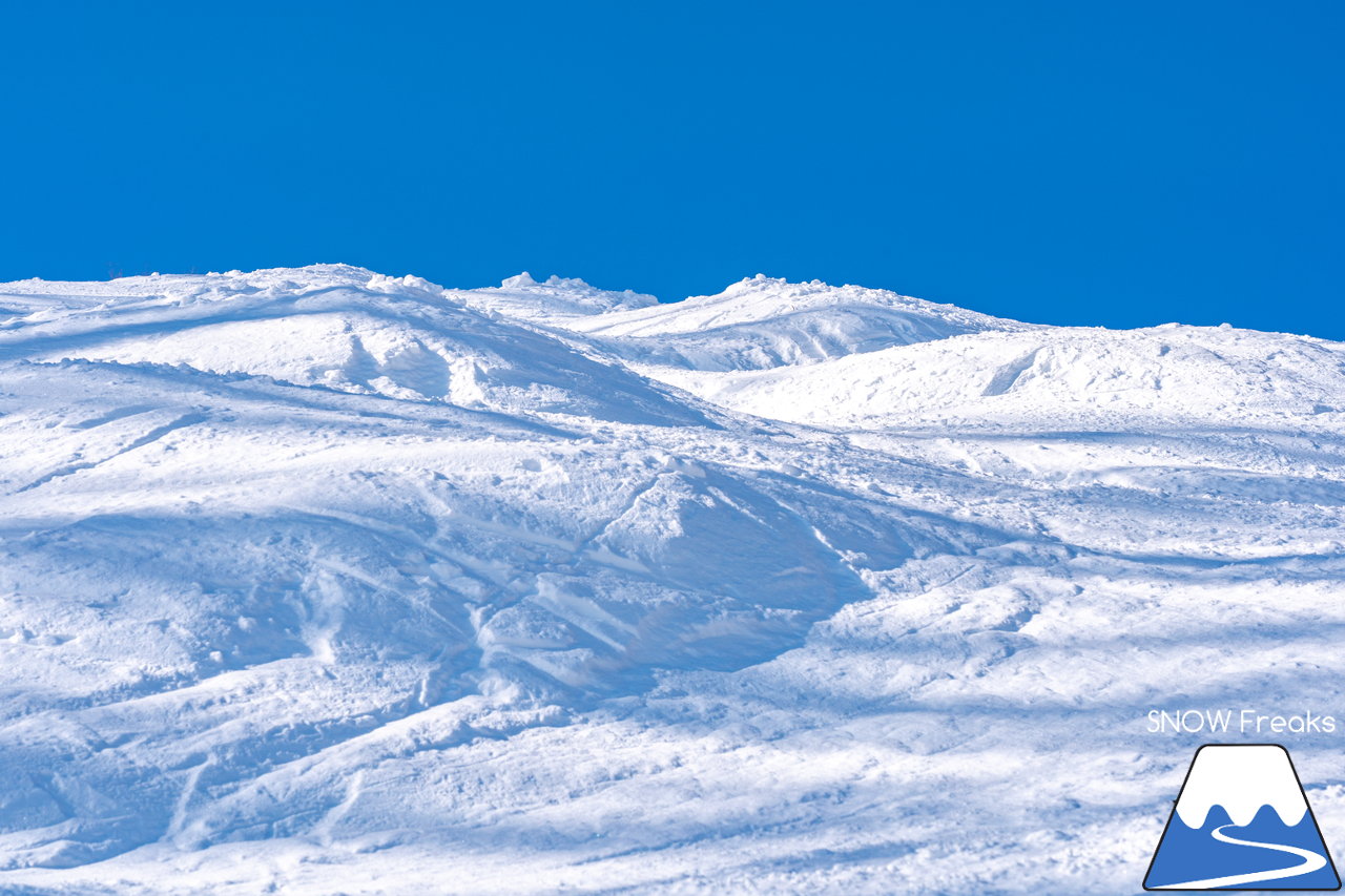 札幌藻岩山スキー場｜本日、雲一つ無い快晴！札幌藻岩山の全10コースの滑走にチャレンジ(^^)/